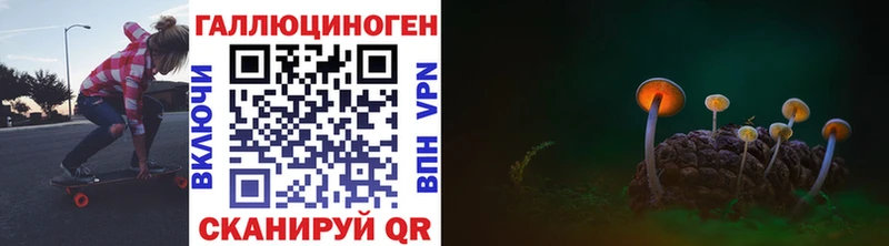 Галлюциногенные грибы прущие грибы  Иннополис 