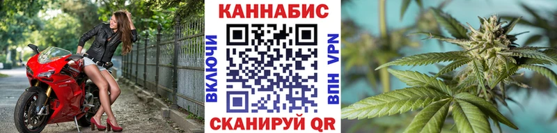 Бошки Шишки Amnesia Иннополис